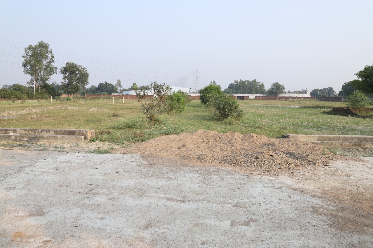 Image Gallery
